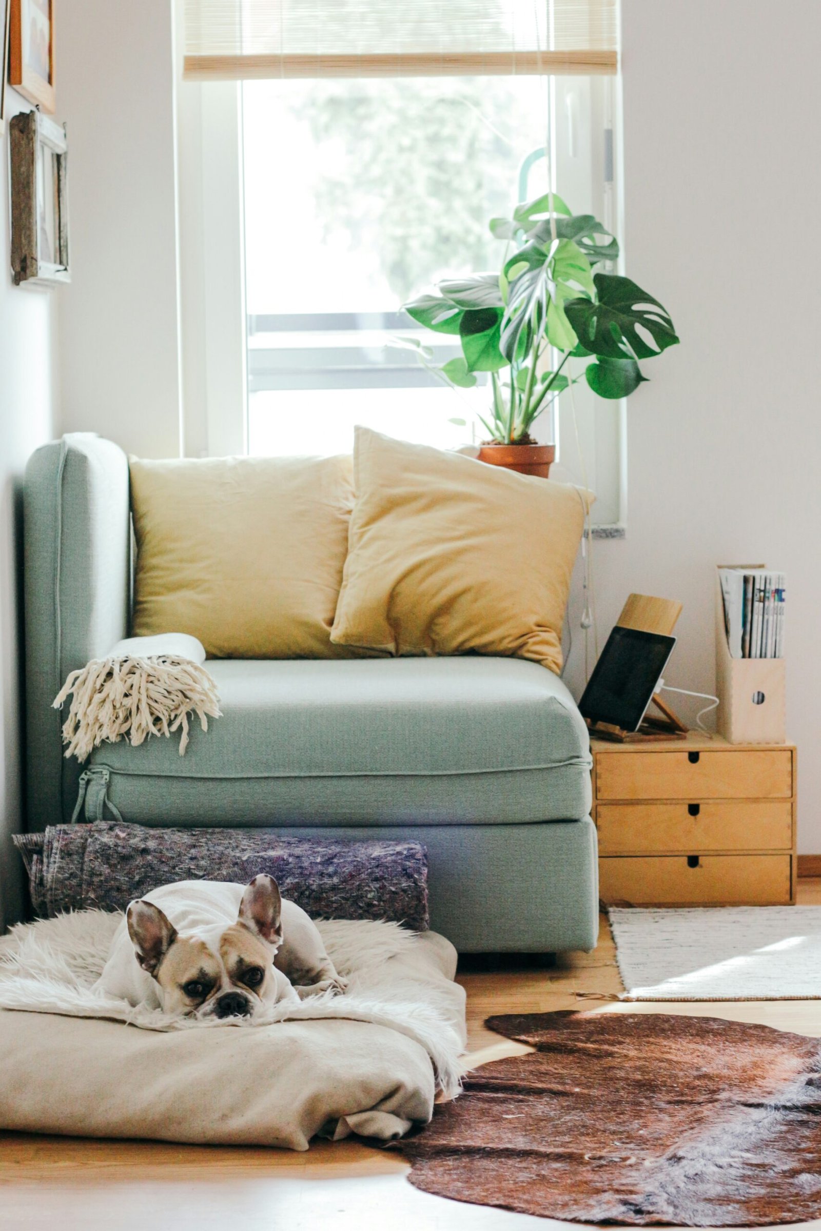 Home Junk Removal: Declutter Your Space with Ease
